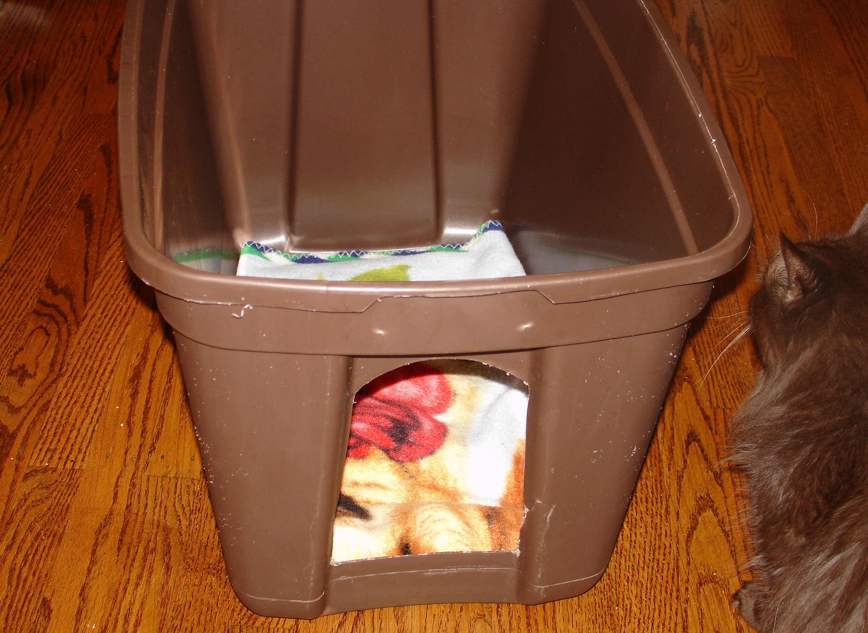 Building a Simple Cat Shelter in Minutes Homeless to Housecats