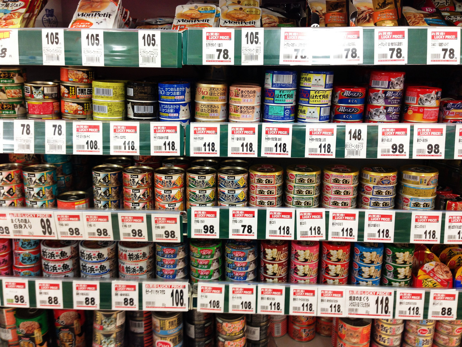 Catfood Shelf Life Homeless to Housecats