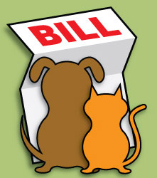 cat-dog-vet-bills.jpg